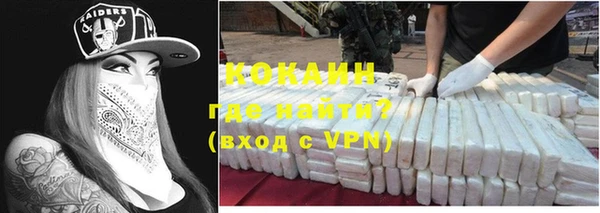 ешки Няндома