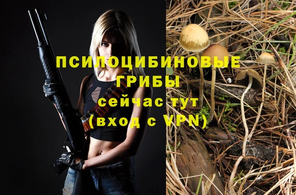 mdpv Балахна